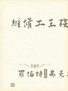 维修工王强张婷封面