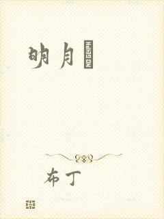 明月珰封面