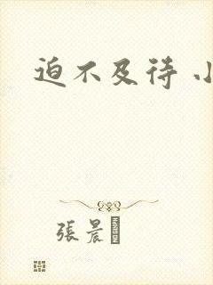 迫不及待 小穴