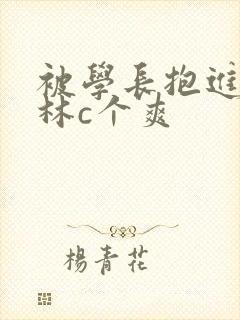 被学长抱进小树林c个爽封面