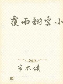 覆雨翻云小说