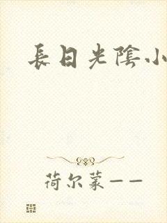 长日光阴小说