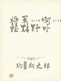 将军灬啊灬啊灬轻点野外封面