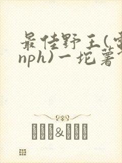 最佳野王(电竞nph)一坨薯饼