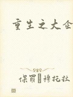 重生之大企业家封面