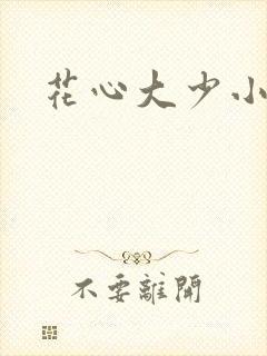 花心大少小说