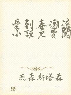 爱到春潮滚滚来小说免费阅读封面