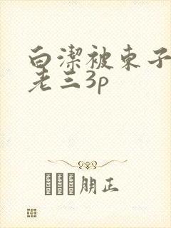 白洁被东子老二老三3p