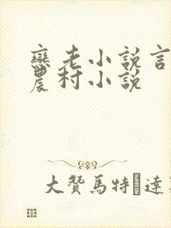 恋老小说言情网农村小说