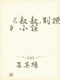 《叔叔,别撩我》小说