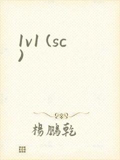 1v1 (sc)封面