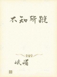 不知所踪封面