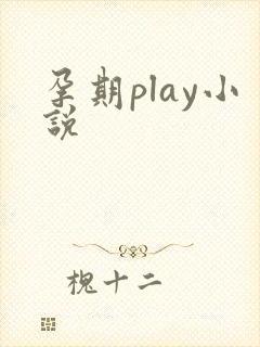 孕期play小说
