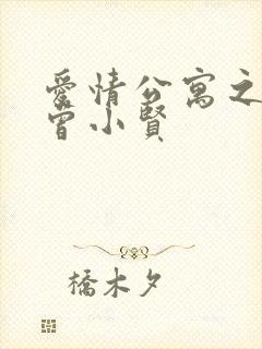 爱情公寓之极品曾小贤