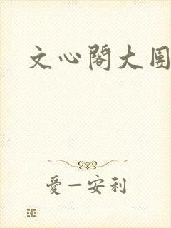 文心阁大团结封面