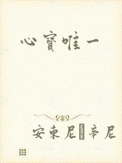 心宝唯一