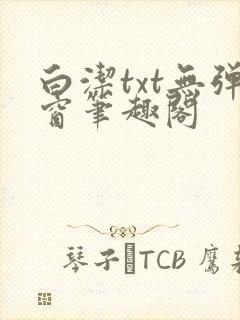 白洁txt无弹窗笔趣阁