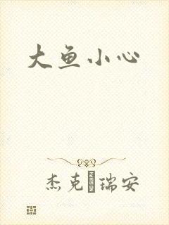 大鱼小心封面