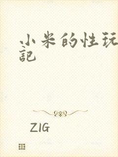 小米的性玩具日记