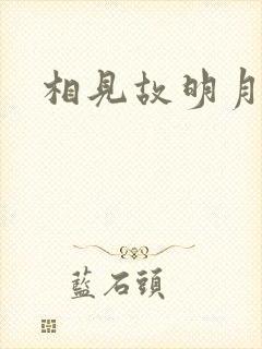 相见故明月