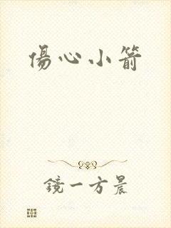 伤心小箭