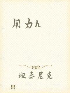 用力h封面