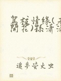 驾校情缘(老树开花)孙潇潇笔趣阁