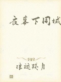 夜幕下同城网
