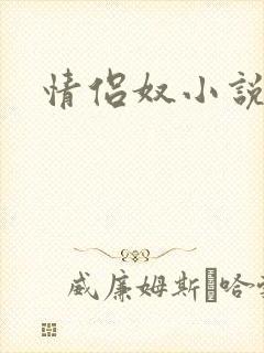 情侣奴小说