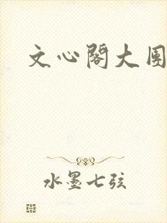 文心阁大团结封面