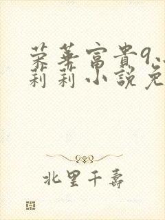 荣华富贵9小王莉莉小说免费阅读
