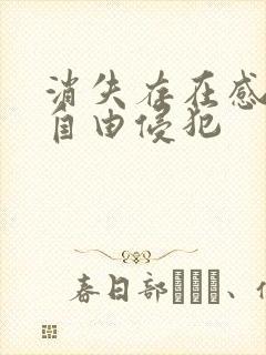 消失存在感消失自由侵犯