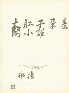 大肚子孕产笔趣阁小说