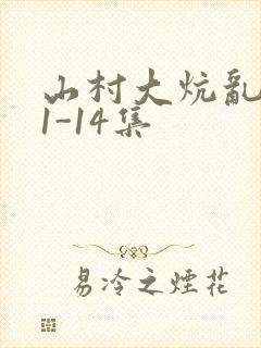 山村大炕乱肉续1-14集封面