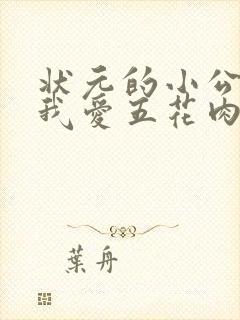 状元的小公主(我爱五花肉)封面