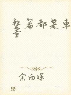 整篇都是车的文章
