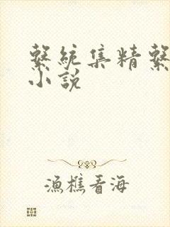 系统集精系统 小说