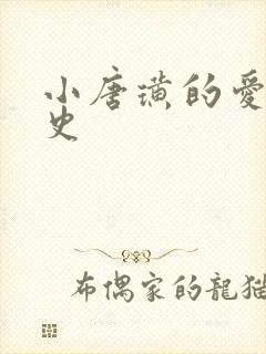 小唐璜的爱情历史