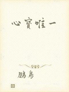 心宝唯一