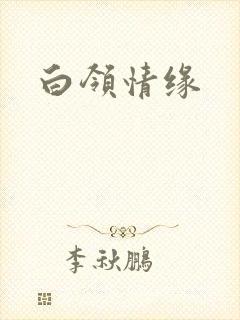 白领情缘