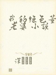 我的绝色董事长老婆 小说