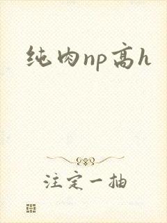 纯肉np高h