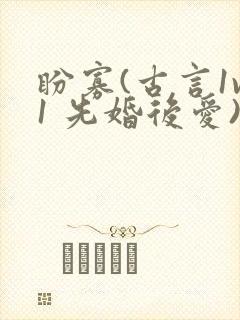 盼寡(古言1v1 先婚后爱)