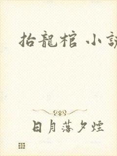 抬龙棺 小说