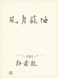 风月苏他封面