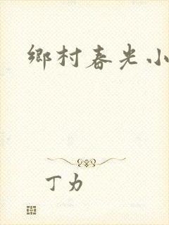 乡村春光小说