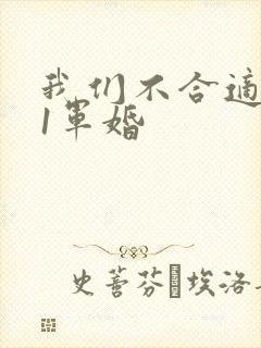 我们不合适1v1军婚