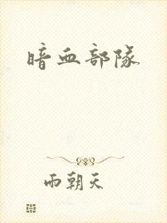 暗血部队封面