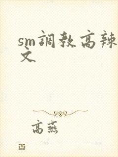 sm调教高辣h文封面