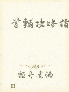 首辅攻略指南封面